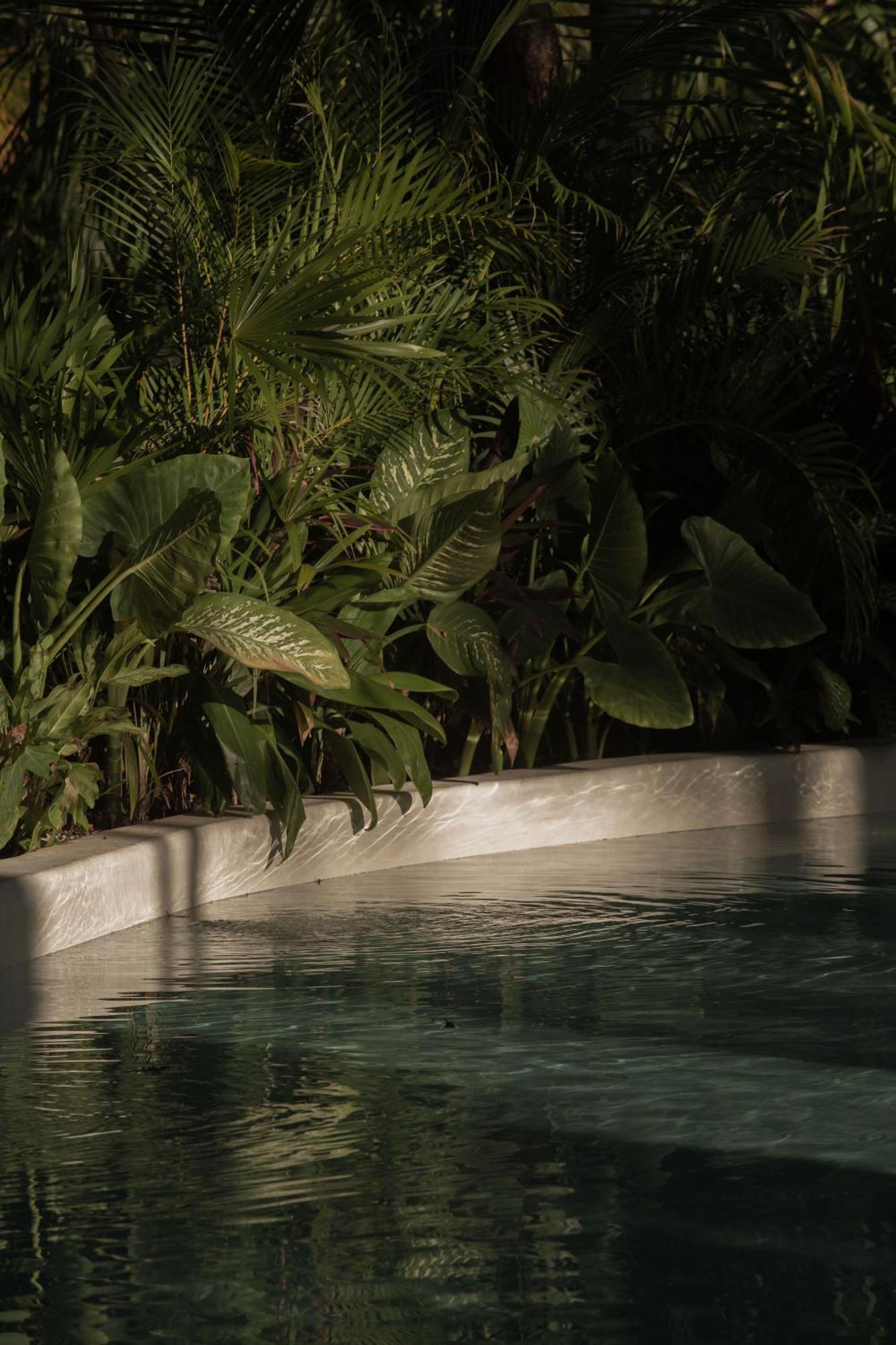 Hotel Milam Tulum Ngoại thất bức ảnh